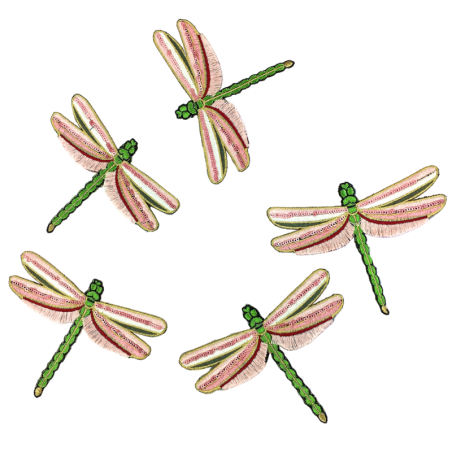 Patch libéllule Rose 3D à coudre - 13cm x 10cm 