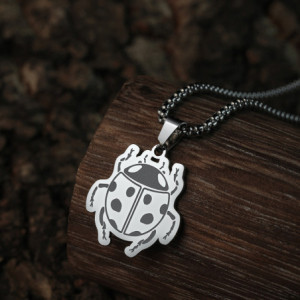 Vue générale Collier Coccinelle en Acier Inoxydable couleur Argent