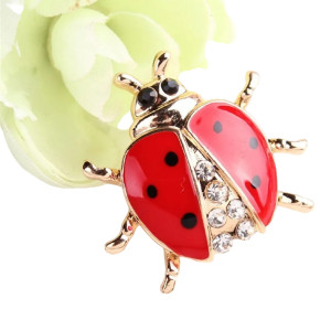 Vue générale Broche Coccinelle Éclat Précieux