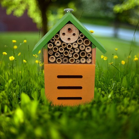 Maison d'abeille en bois peinte en vert