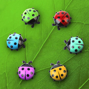 Magnets Coccinelle Aimants Décoration Multicolores