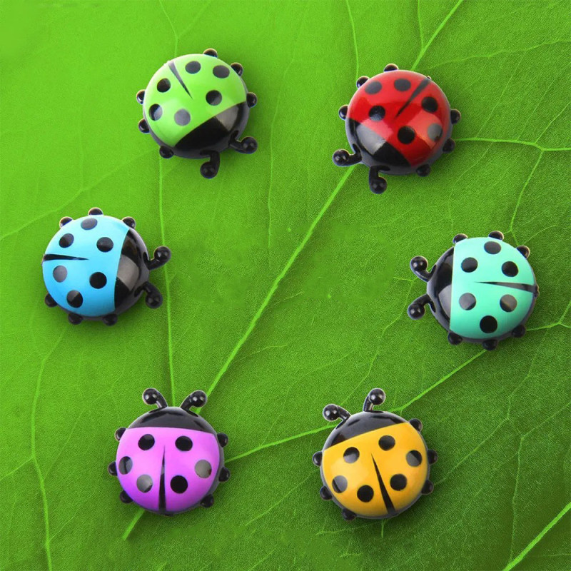 Magnets Coccinelle Aimants Décoration Multicolores