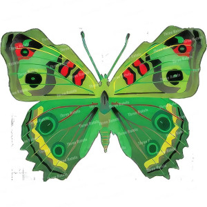 Adesivo Farfalla Multicolore in PVC - Decorazione Vivace e Durevole