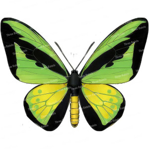 Sticker Farfalla Verde e Nera | Adesivo Originale in Vinile