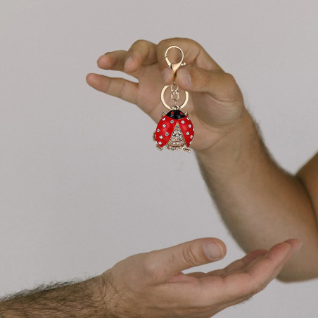 Portachiavi Coccinella con Zirconi | Idea Regalo Donna Unica
