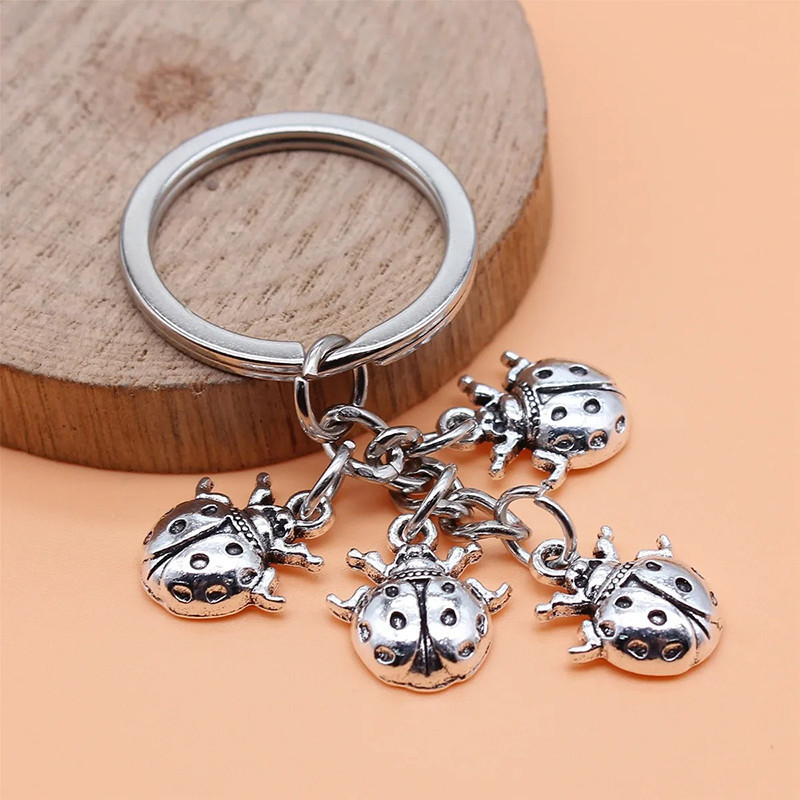 Portachiavi Coccinella Portafortuna | Idea Regalo Donna Unica