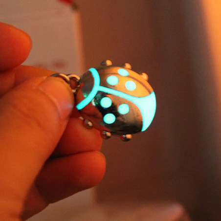 Portachiavi Coccinella Luminescente | Idea Regalo Originale