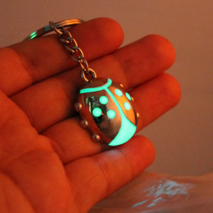 Portachiavi Coccinella Luminescente | Idea Regalo Originale