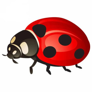 Adesivo Coccinella 'Rosso Fortuna' - Sticker Elegante Portafortuna