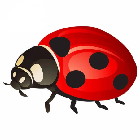 Adesivo Coccinella 'Rosso Fortuna' - Sticker Elegante Portafortuna