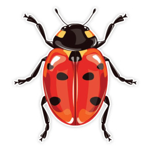 Adesivo Coccinella Vintage | Sticker Originale & Resistente