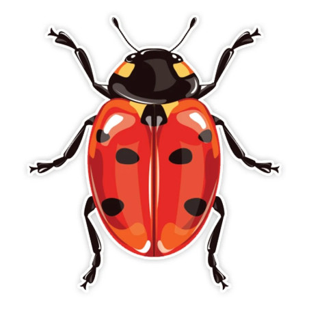 Adesivo Coccinella Vintage | Sticker Originale & Resistente