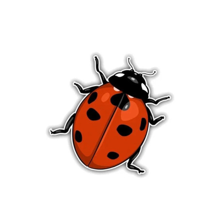 Adesivo Coccinella Portafortuna | Sticker PVC Resistente