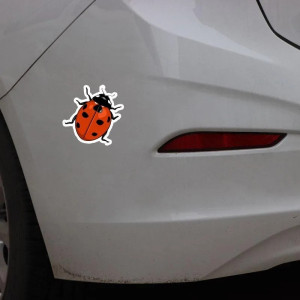 Adesivo Coccinella Portafortuna | Sticker PVC Resistente