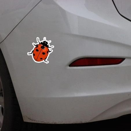 Adesivo Coccinella Portafortuna | Sticker PVC Resistente