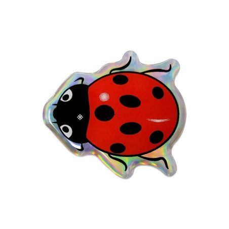 Sticker Coccinella 3D in Resina | Idea Regalo Originale