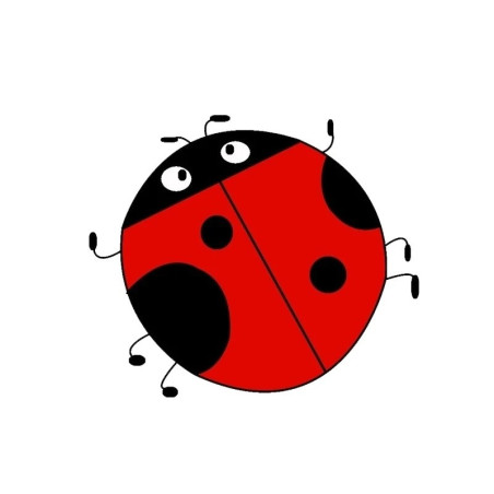Adesivo Coccinella Sorpresa - Sticker Divertente e Originale