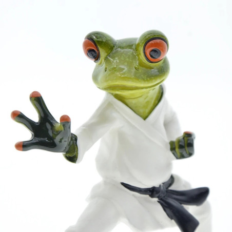 Statuetta Rana Karateka – Figurina Resina Cintura Nera Karatè