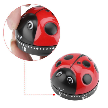 Timer Coccinella Rosso – Contaminuti Meccanico da 60 Minuti