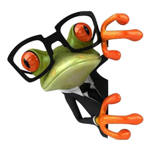 Adesivo Rana Birichina | Sticker Divertente per Auto & Moto