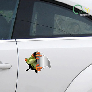 Adesivi Rana Curiosa – Set 2 Sticker 3D Realistici – 15x13 cm