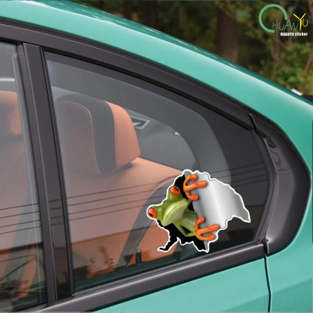 Adesivi Rana Curiosa – Set 2 Sticker 3D Realistici – 15x13 cm