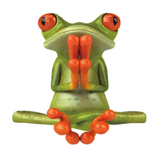 Adesivo Rana Zen Divertente – Idea Regalo Originale Relax