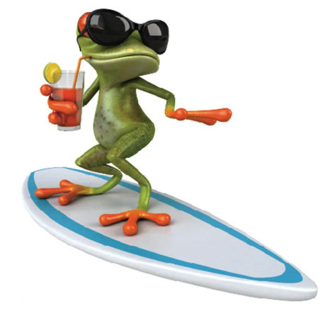 Adesivo Rana Surfista Cool – Sticker Divertente Estate & Relax