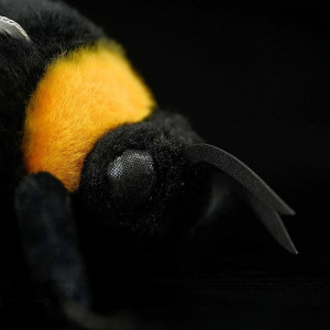 Grande Peluche Ape Realistica – 22 cm | 1001ABEILLES.COM