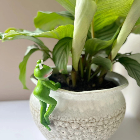 Ornamento Rana in Resina per Vaso – Decorazione Divertente