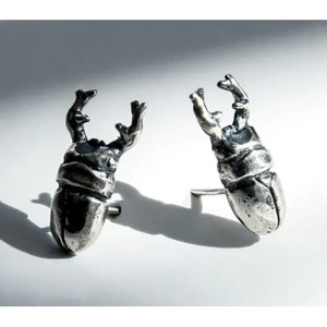 Orecchini Scarabeo Titano – Argento Invecchiato & Design Unico