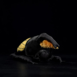 Peluche Scarabeo Sole d'Oro – Insetto Gigante Nero & Giallo