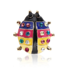 Spilla Coccinella Arcobaleno | Gioiello Fantasia Multicolore!