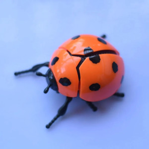 Coccinella a Molla Saltellante - Giocattolo Divertente | 4 Colori!