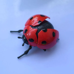 Coccinella a Molla Saltellante - Giocattolo Divertente | 4 Colori!