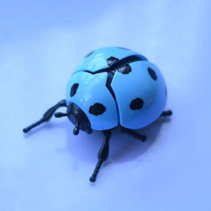 Coccinella a Molla Saltellante - Giocattolo Divertente | 4 Colori!