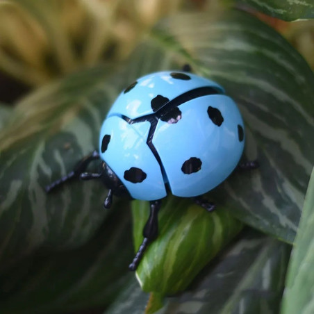 Coccinella a Molla Saltellante - Giocattolo Divertente | 4 Colori!