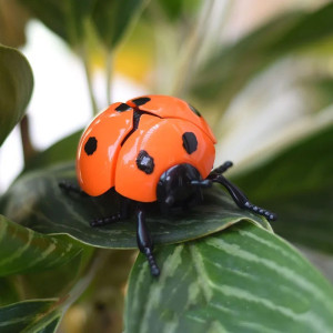 Coccinella a Molla Saltellante - Giocattolo Divertente | 4 Colori!