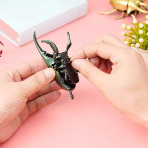 Scarabeo Meccanico a Molla - Giocattolo Combat Beetle - 3 Colori