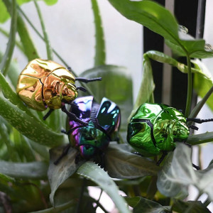 Scarabeo Meccanico a Carica - Riflessi Cromati | 3 Colori