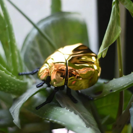 Scarabeo Meccanico a Carica - Riflessi Cromati | 3 Colori