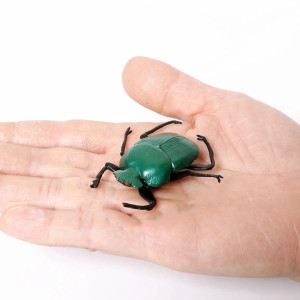 Statuetta Scarabeo Stercorario Femmina | Gioco Educativo Unico