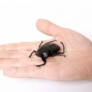 Statuetta Educativa Scarabeo Stercorario | Idea Regalo Originale