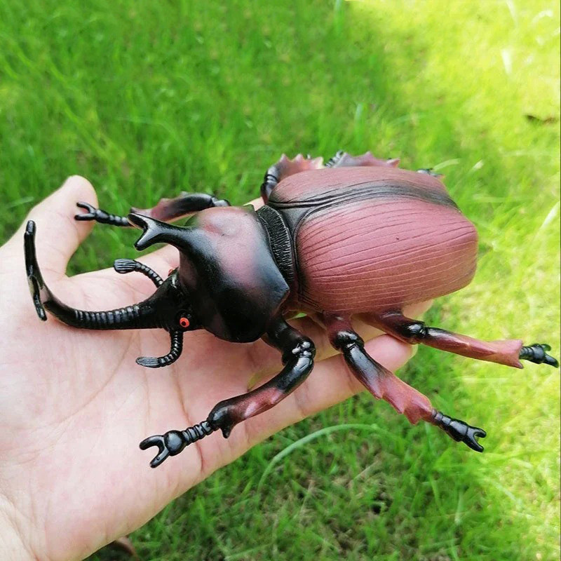Statuetta Scarabeo Rinoceronte Asiatico - Modello Educativo