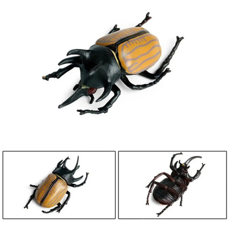 Statuetta Scarabeo Golia a Strisce | Idea Regalo Originale