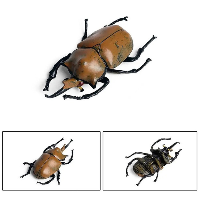 Statuetta Scarabeo Rinoceronte Bruno - Modello Educativo Unico
