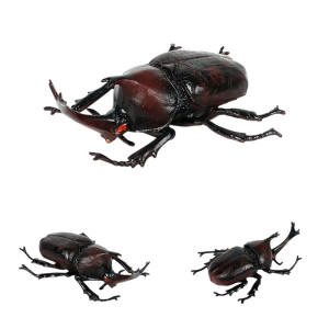 Statuetta Scarabeo Rinoceronte Asiatico | Idea Regalo Originale