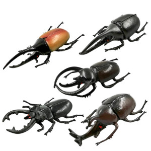 Set 5 Figurine Coleotteri Cornuti | Gioco Educativo Originale