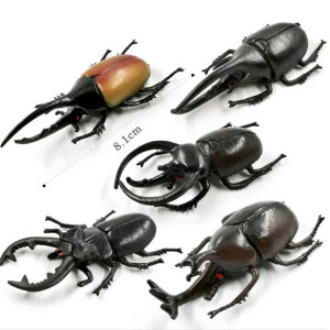 Set 5 Figurine Coleotteri Cornuti | Gioco Educativo Originale