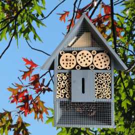 Grande Maison d'abeille et insectes